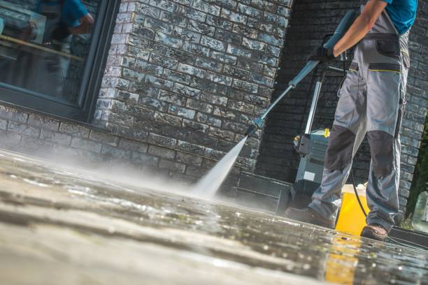 Best Dumpster Area Cleaning  in Whitewater, CA