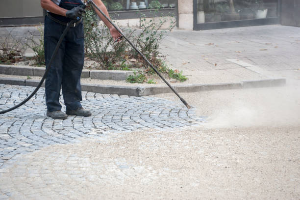 Best Fence Cleaning  in Whitewater, CA